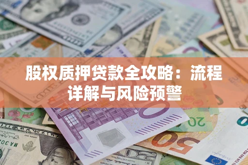 北京股权质押贷款全攻略：流程详解与风险预警