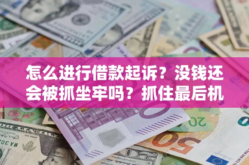 北京怎么进行借款起诉？没钱还会被抓坐牢吗？抓住最后机会！