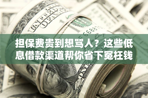 北京担保费贵到想骂人？这些低息借款渠道帮你省下冤枉钱
