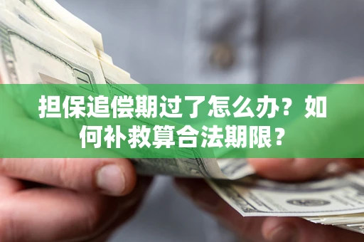 北京担保追偿期过了怎么办？如何补救算合法期限？