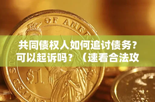 北京共同债权人如何追讨债务？可以起诉吗？（速看合法攻略）