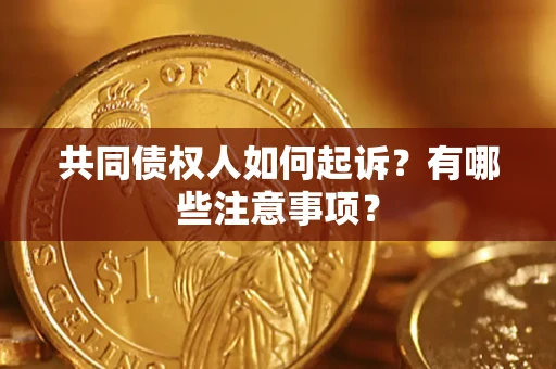 北京共同债权人如何起诉？有哪些注意事项？