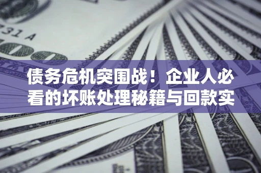 北京债务危机突围战！企业人必看的坏账处理秘籍与回款实战指南